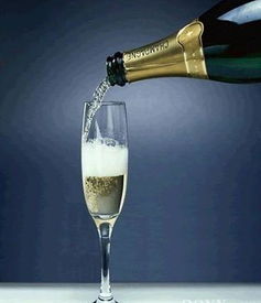 香檳汽泡酒圖冊(cè)