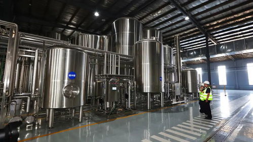 年灌裝成品酒1.45萬(wàn)噸 雪樹(shù)七日鮮 下線(xiàn)